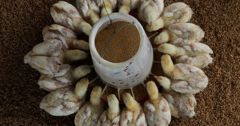 ফিডারের চারপাশে ব্রয়লার বাচ্চা